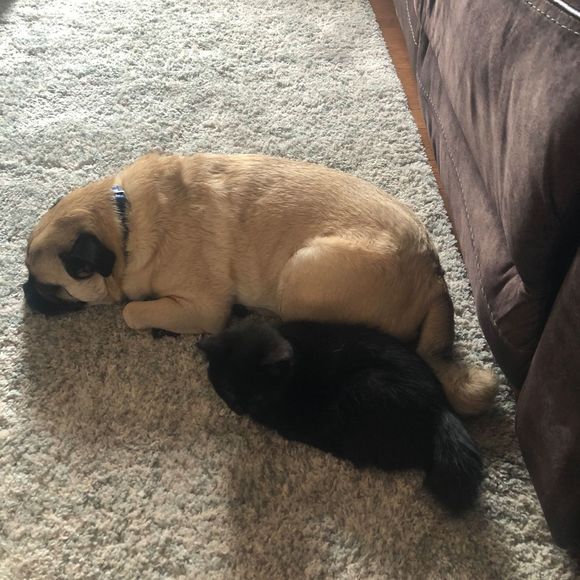 Meet your Posher, Aaron - Picture 1 of 1